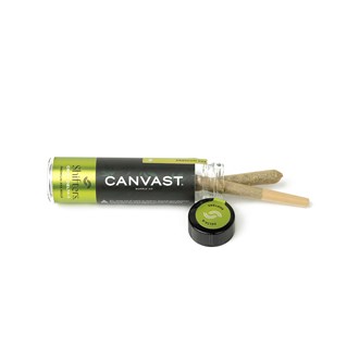 Shifters Pre-Roll Tube - (Sample)